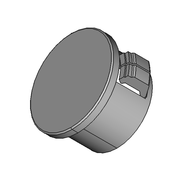 Caps & Plugs
